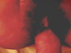 Тайваньская прынцэса тугі валасатыя шапіках